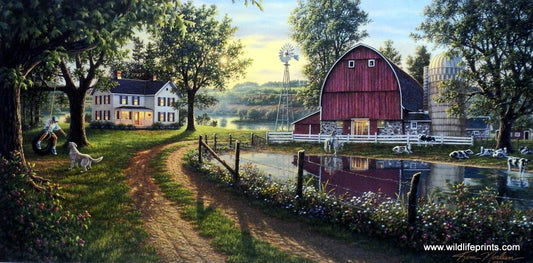 Kim Norlien The Road Home
