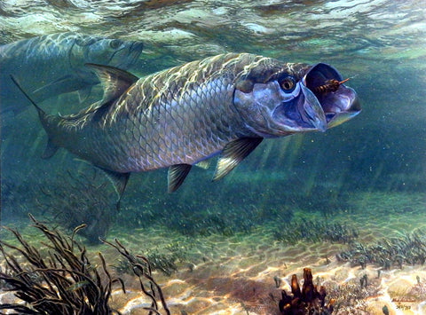 Mark Susinno The Strike- Tarpon