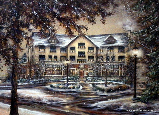 Susan Amidon The University Club Of St. Paul