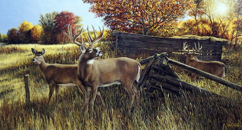 Ron Van Gilder The Waiting Game- Whitetail Deer
