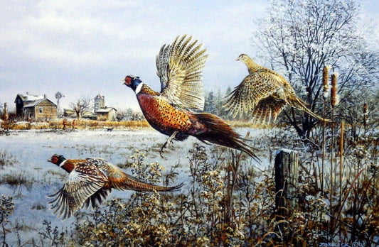 Scott Zoellick The Wild Ones