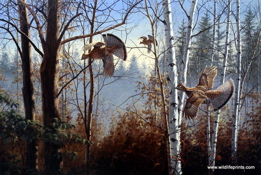 David Maass Three Birds Up-Ruffed Grouse