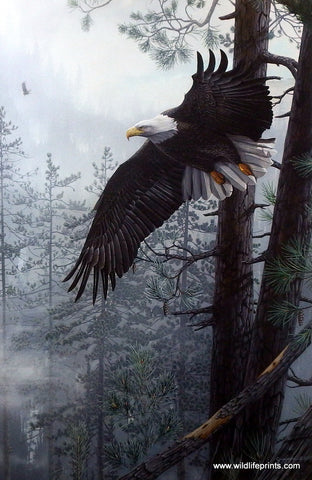 Bruce Grayson Mountain and Eagle Print Through the Clearing