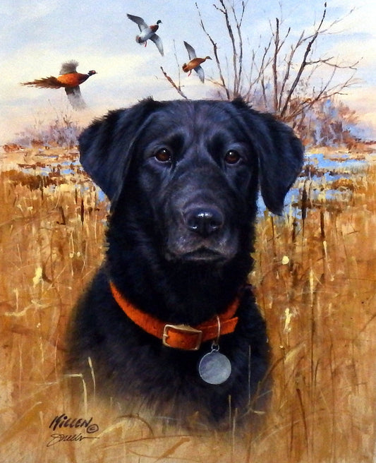 James Killen Top Dog- Black Lab