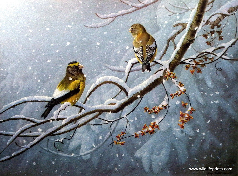 Jerry Gadamus Touch of Gold