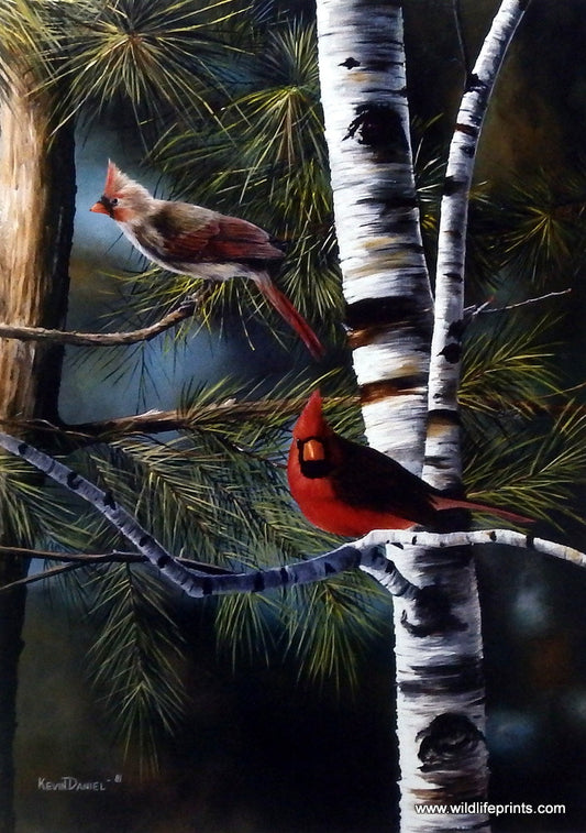 Kevin Daniel Touch of Red