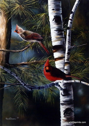 Kevin Daniel Touch of Red