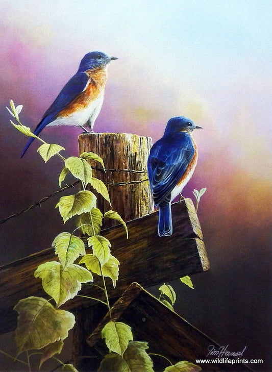 Jim Hansel Touch Of Spring
