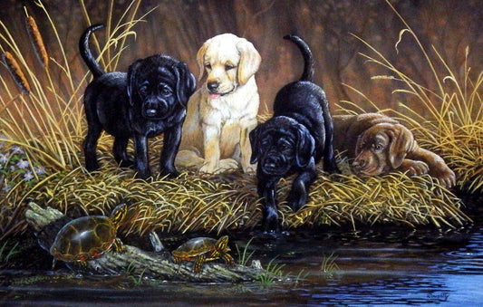 Terry Doughty Turtle Hunters