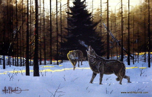 Les Kouba Twilight Survivors