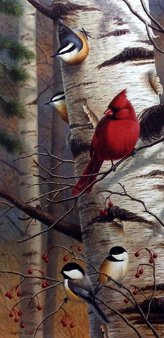 Cynthie Fisher Bird Cardinal Picture UNANNOUNCED VISITORS II