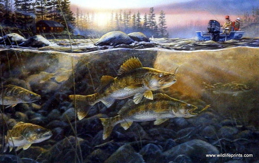 Terry Doughty Walleyes on the Rocks - 12"x7.75" Open Edition