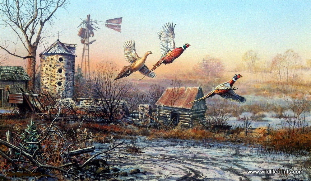 Scott Zoellick Where Pheasants are Forever