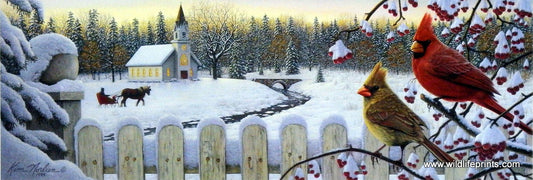 Kim Norlien White Crimson Morning