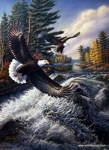 James Meger White Water AM