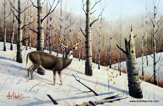 Les Kouba Whitetail Country