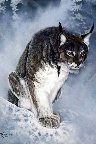 Ray Whitson Lynx