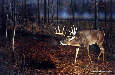 Brian Kuether whitetail deer art print checking scrape WHO'S BEEN HERE