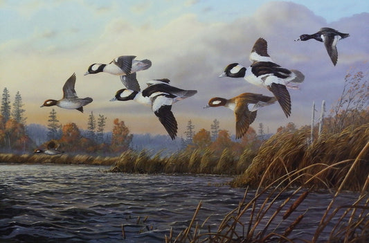 Terry Doughty Wind Riders