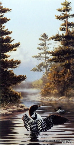 Rick Kelley Flapping Wings Loon - 10.25"x20" Open Edition