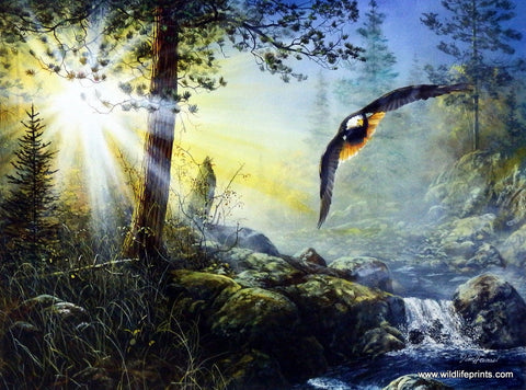 Jim Hansel Wings in the Mist