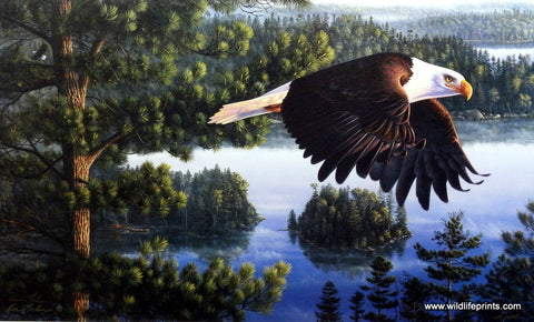 Kim Norlien Wings Of Destiny