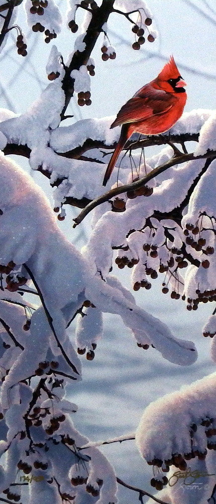 Scot Storm Winter Crimson
