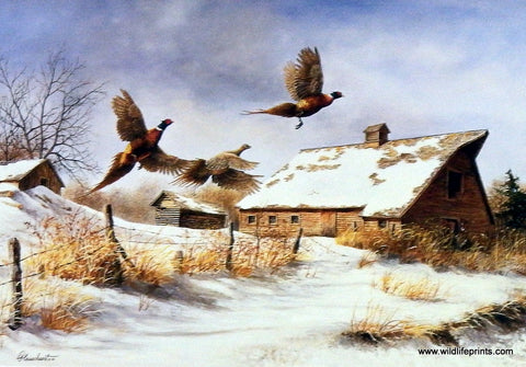 Richard Plasschaert Winter Flight