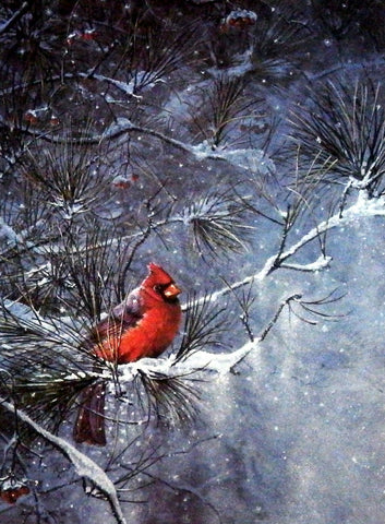 Scott Zoellick Winter Friend