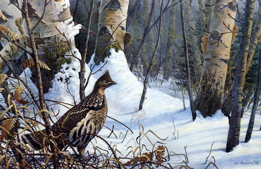 Tim Schultz Winter Morning Ruffed Grouse