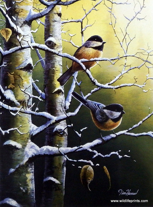 Jim Hansel Winter Refuge II