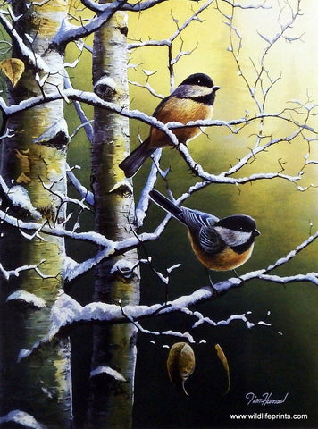 Jim Hansel Winter Refuge II