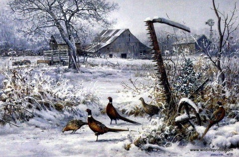 Scott Zoellick Winter Refuge