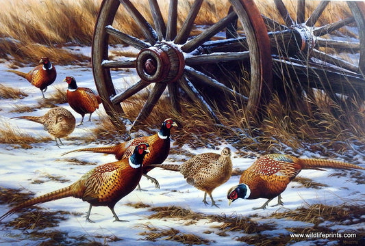 Rosemary Millette Winter Rendezvous- Pheasants