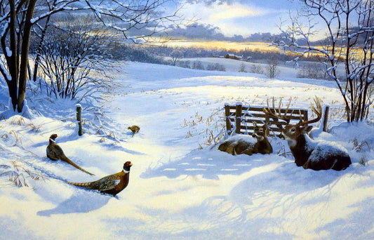 Scot Storm Winter Retreat