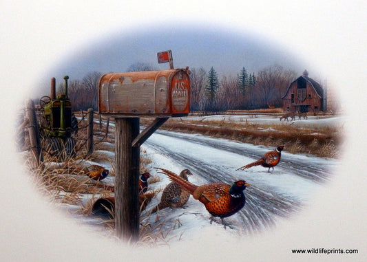 Greg Bordignon Winter Solstice
