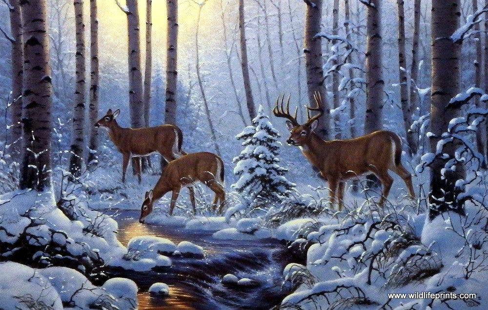 Wildlife Artist Derk Hansen Unframed Deer Art Print Winter Sunrise