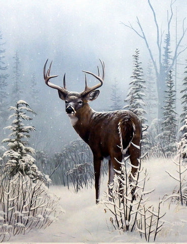 Leo Stans Winter Wonder- Deer
