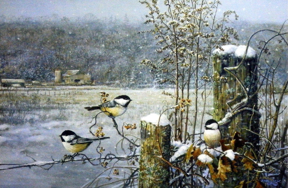Scott Zoellick Winter Wonderland