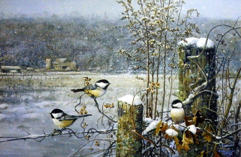 Scott Zoellick Winter Wonderland