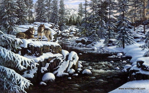 Kim Norlien Winter's Glory