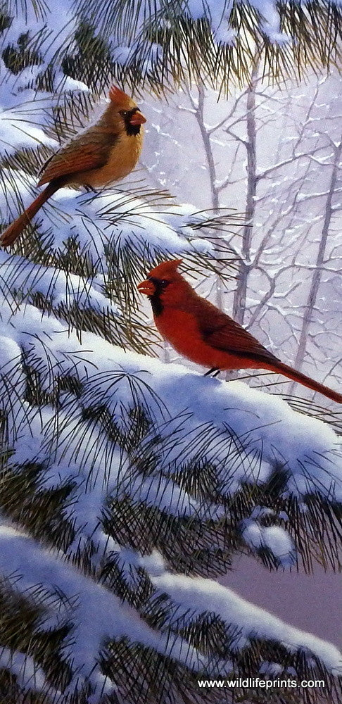 Derk Hansen Winter Cardinal Art Print