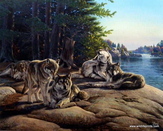 Al Agnew Wolf Pack Print WOLF RIDGE
