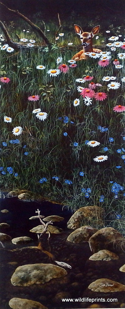 Jim Hansel Woodland Friends