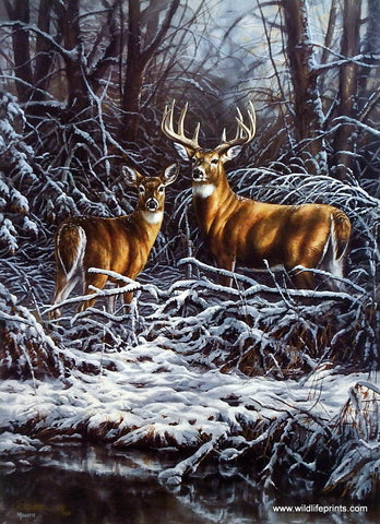 Rosemary Millette Woodland Monarch- Whitetail Deer