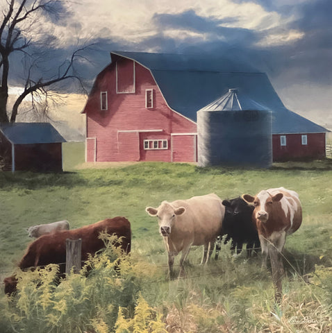 Lori Deiter Cow and Red Barn Art Print Wyoming Sunset (12x12)