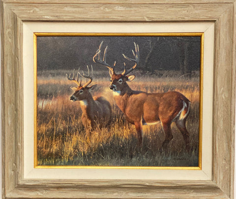 Nancy Glazier Deer Buck Canvas Art Print- 28 x 24