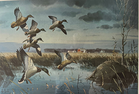 Les Kouba The Old Farm Pothole Duck Waterfowl S/N Art Print-24 x 17