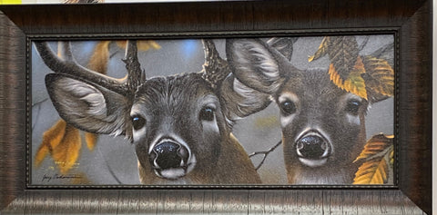 Jerry Gadamus Up Close and Curious Deer Art Print-Framed 24 x 14