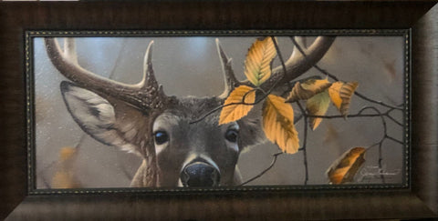 Jerry Gadamus Whitetail Deer Art Print UP Close and Personal S/N (28x14)